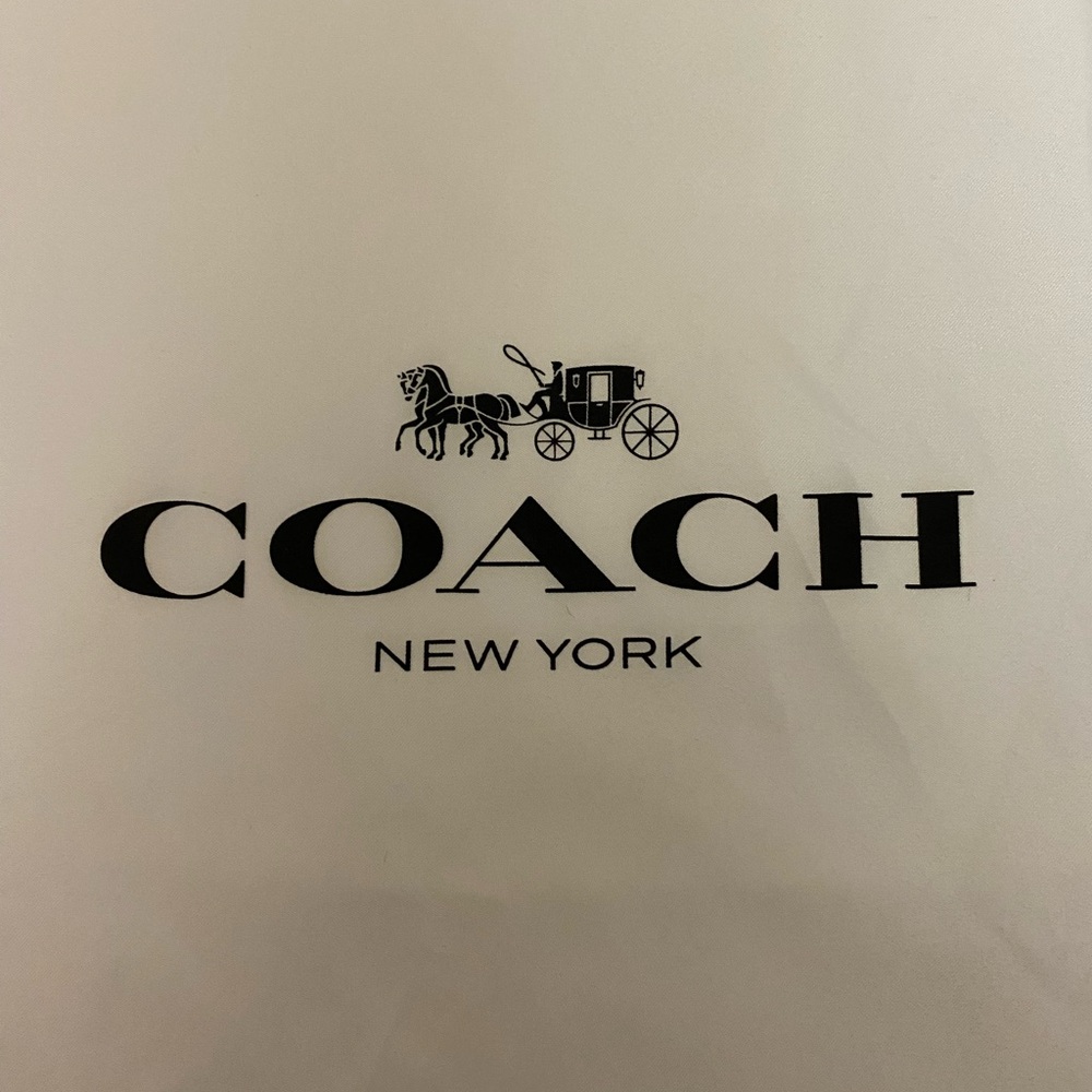 Coach Satin Large Dustbag